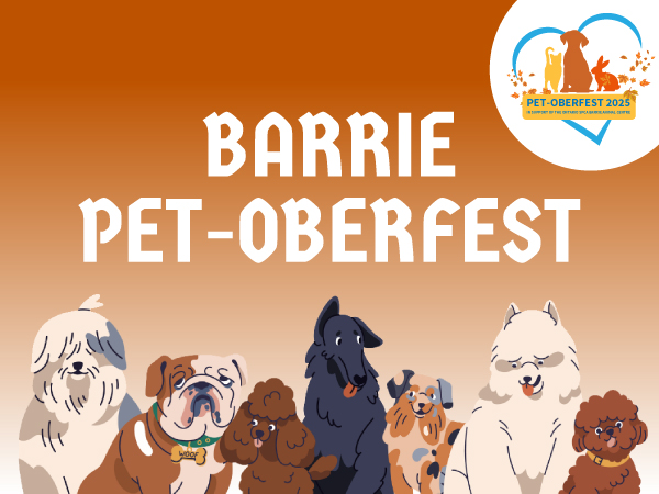 animated pet dogs barrie pet-toberfest